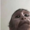 Macaquinhos 🙊🤣 7