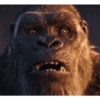 Kong 3