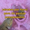 SURTOS LEVES & MEMES {😂} 15