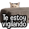 A 4UP Te estoy vigilando