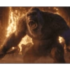 Kong 6