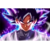 Black Goku 15