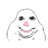 Hamaster tik tok viral 11