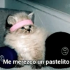 😎 STICKERS SHITPOST 17 🤙 11