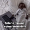 Salario mínimo, esfuerzo mínimo