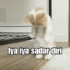 Kucing Galau 11