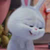 Snowball 🐇 25