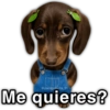💯😝 •ANIMALITOS Frases• 😝💯 15
