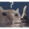 ShitPost 13