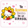 🎀Hello Kitty💖Reina Pepiada🎀 6