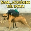 NAM..MEME VÉI PODI 😖 7
