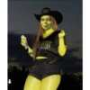 Memes Shrek 😎 16