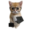 Cat meme reaction 🐈🆕 14