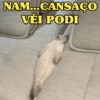 NAM..MEME VÉI PODI 😖 6