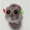 Sad hamster 8