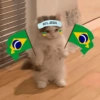 🇧🇷⚽️ BRASIL ⚽️🇧🇷 28