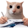 Meme Kucing Imut #4 14