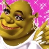 🏰🟢 SHREK MOODS 🟢🏰 28