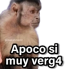 Memes Changuitos🐒 16