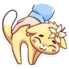 🐱 Gatinha Vanilla 26