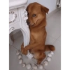 Animais amigos 🤎 8