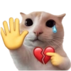 MEME KUCING 2 8