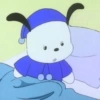 Pochacco 🐾 8