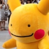 Pokémon  11