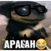 Meme jomok 13