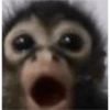 ShitPost 16