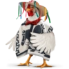 Viva México 6