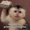 Memes Sin Sentido 3🥴🫧  22