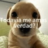 Todavía me amas verdad?