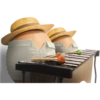 Viva México 10