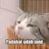 Kucing Galau 7