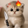 😡🐱 GATOS ENOJADOS 🐱😡 9
