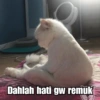 Kucing Galau 9