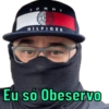Minhas figurinhas 29