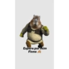 Memes Shrek 😎 5