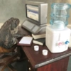 Frog 7