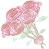 Soft icon 13