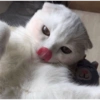Baby 5