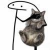 Kucing plenger reaction  7