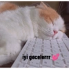 Iyi geceler 💛 22