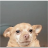 Meme mix 9