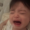 BOCIL LUCU 8