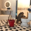 Frog 8