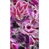 Black Goku 29