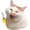 Meme Kucing Imut #4 7