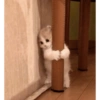 Gatitos 2🐈❤️ 13
